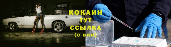 молекула духа Зерноград