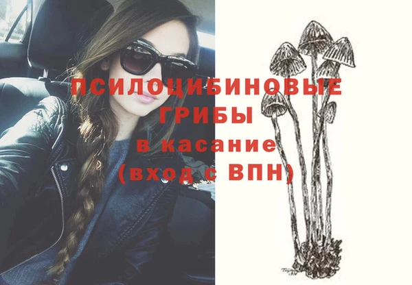 спиды Зеленодольск