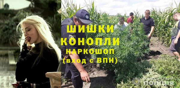 молекула духа Зерноград