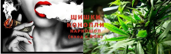 молекула духа Зерноград