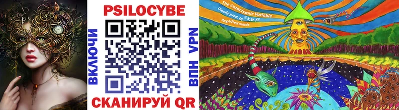 Купить закладки  Кашира  Псилоцибиновые грибы Psilocybe 