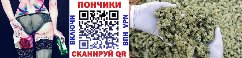 Купить  Кашира  МАРИХУАНА SATIVA & INDICA 